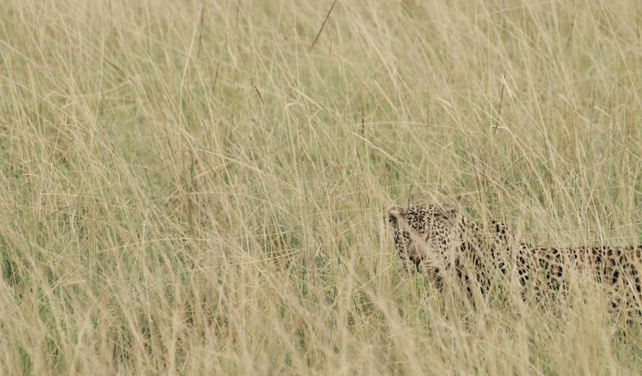 Ololo Safari Lodge ไนโรบี ภายนอก รูปภาพ