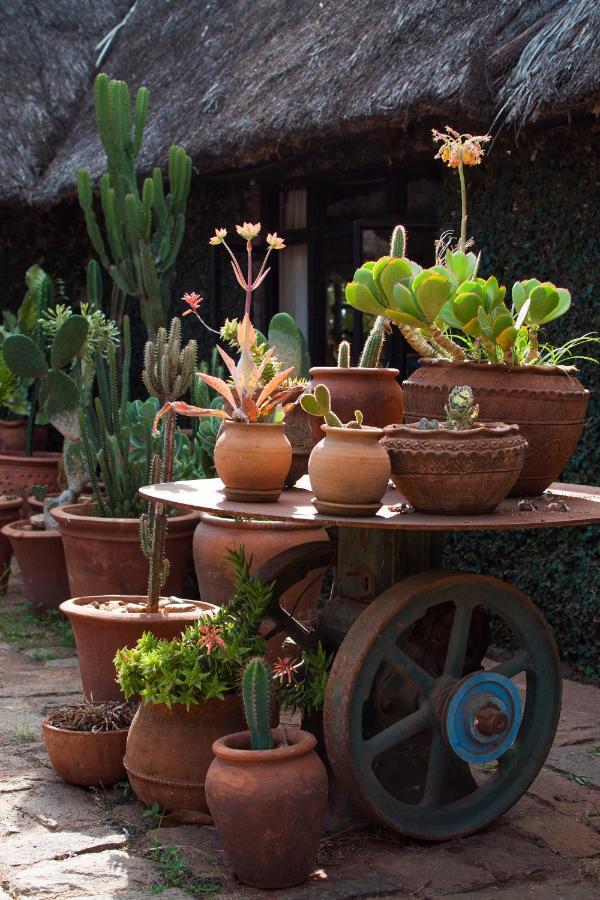 Ololo Safari Lodge ไนโรบี ภายนอก รูปภาพ